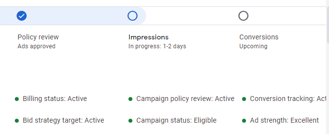 Google Ads Enabled and Approved